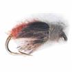 speckled sedge